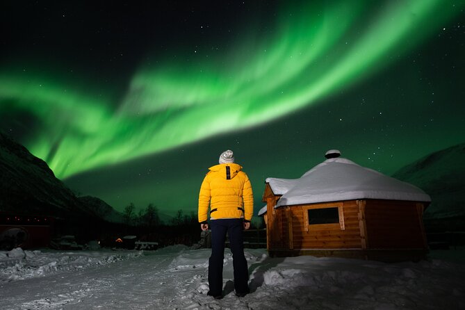 Small Group Tromsø: Northern Lights Chase with Photos and Dinner - Who will get the most from this outing?
