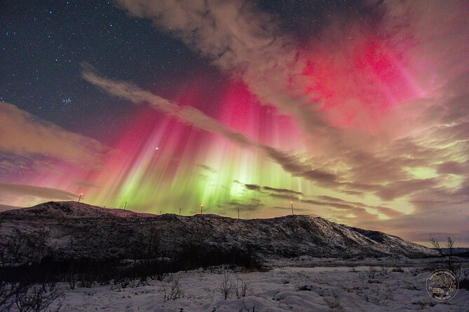 Small Group Van Journey in Search of the Northern Lights - Meeting point, hotel return, and timing