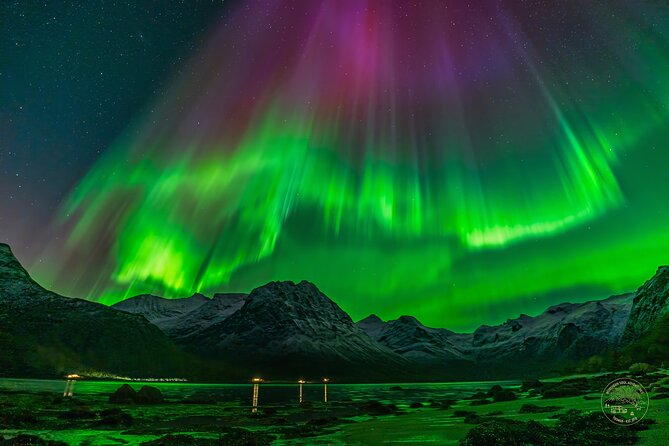 Small Group Van Journey in Search of the Northern Lights - What happens when the sky finally clears
