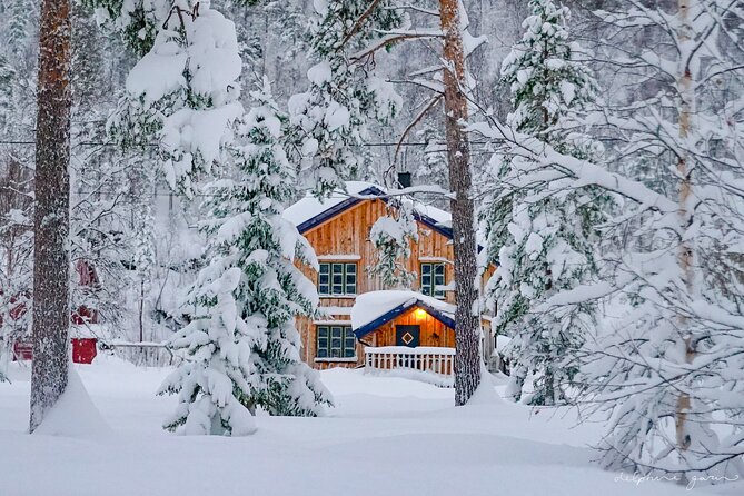 Small Group Wilderness Husky Sledding 2h from Tromsø (car needed) - Why the small group changes the experience