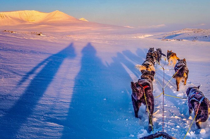 Small Group Wilderness Husky Sledding 2h from Tromsø (car needed) - Two hours through quiet snow trails