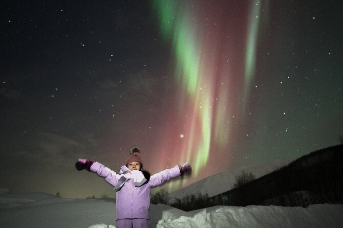 Small Northern Lights Tour Max 8 Guests Pickup and Photography - Is the $223.14 price good value?