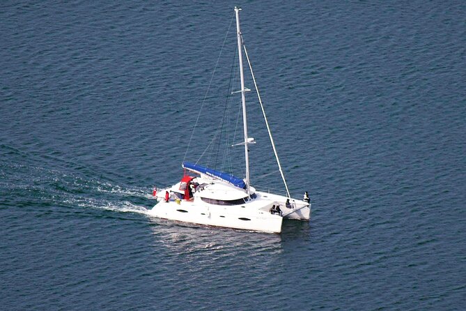 Snorkeling with Orcas In Norway, 4 days All-Inclusive expedition - From Tromsø to the whale grounds near Skjervøy