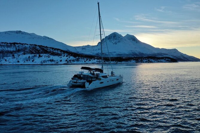 Snorkeling with Orcas In Norway, 4 days All-Inclusive expedition - Meals, snacks, and the small comforts