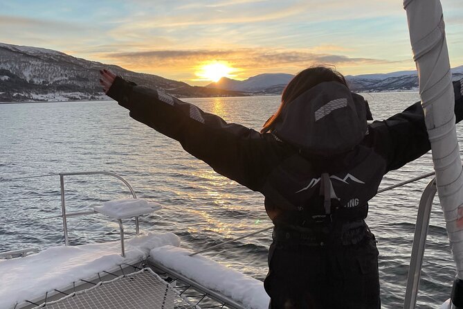Snorkeling with Orcas In Norway, 4 days All-Inclusive expedition - Arctic scenery, weather, and the limits of the plan
