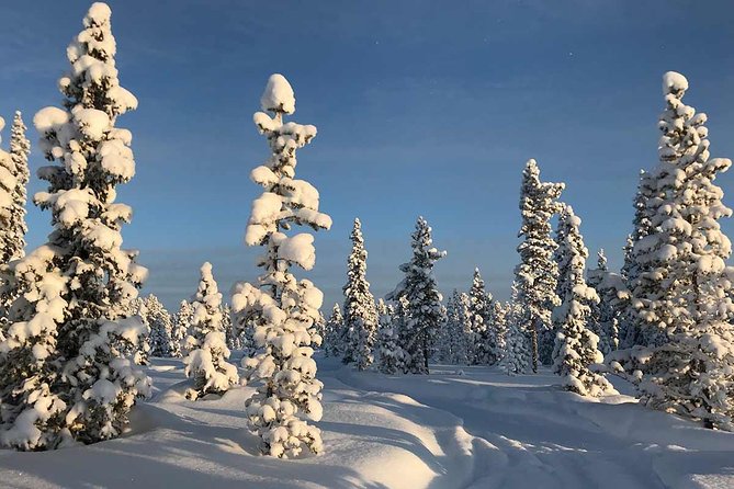 Snowmobile Arctic Adventure - A wooden hut, open fire, and warm lingonberry juice
