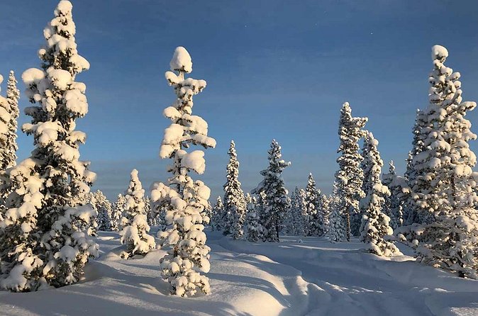 Snowmobile Arctic Adventure - What to wear, and the glasses problem