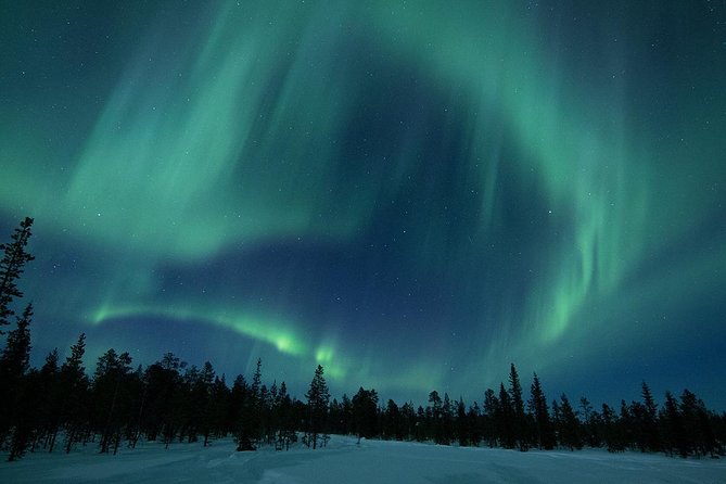 Snowmobile Aurora Expedition with dinner - Key points to know before you book