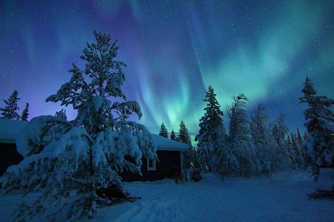 Snowmobile Aurora Expedition with dinner - From Torggatan to the Arctic forest