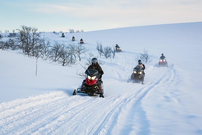Snowmobile safari in the mountain plateau of Finnmarksvidda - Key points before you book