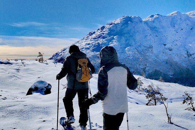 Snowshoe hiking in Bergen - Public tour - Who will enjoy this snowshoe tour