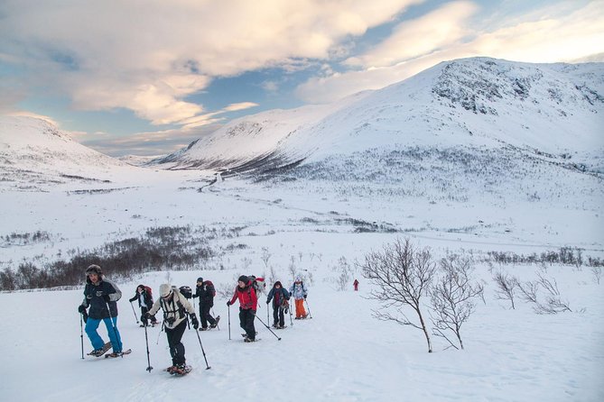 Snowshoe Hill Hike in Tromsø - Key points at a glance