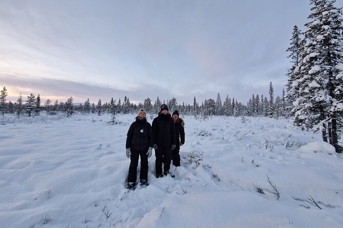 Snowshoe in a Winter Forest - Following animal tracks through the forest
