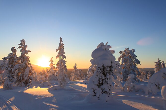 Snowshoe in a Winter Forest - A warm break with berry juice and Kangoskaka
