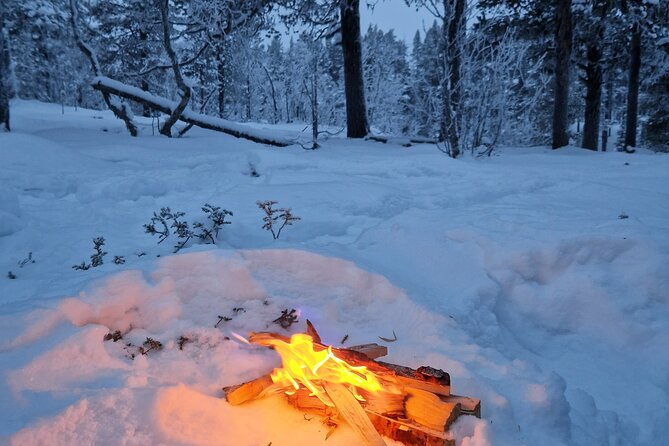Snowshoe in a Winter Forest - Pickup from central Kiruna
