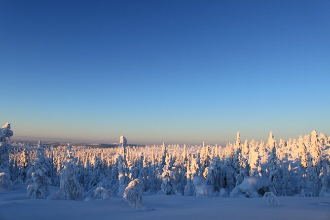 Snowshoe in a Winter Forest - Who will enjoy this most