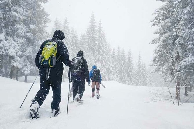 Snowshoe Tour in Winter Wonderland - Oslo - Key Details at a Glance