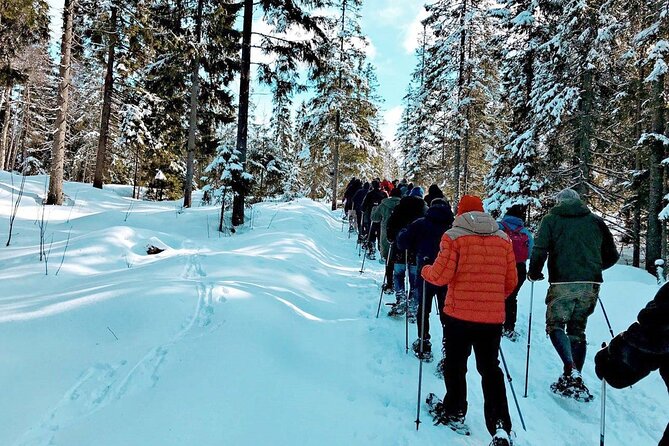 Snowshoe Tour in Winter Wonderland - Oslo - The Guides Make the Difference