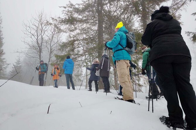 Snowshoe Tour in Winter Wonderland - Oslo - Timing, Group Size, and the Return to Oslo