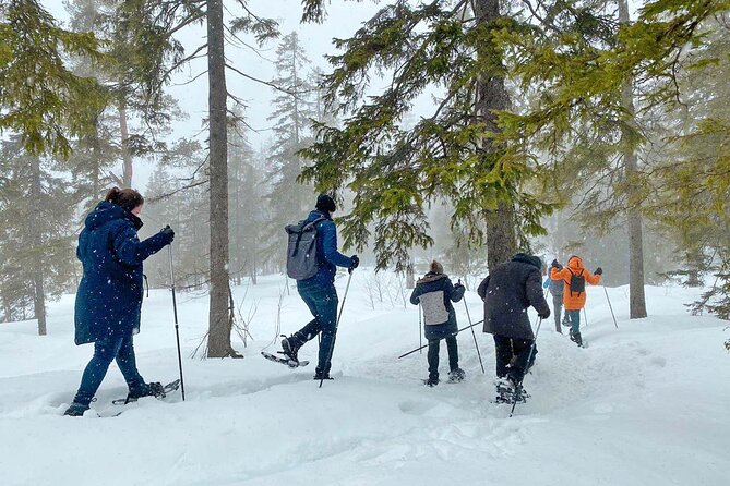 Snowshoe Tour in Winter Wonderland - Oslo - Who Should Book This Winter Walk?