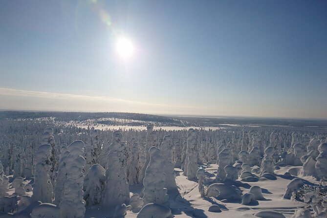 Snowshoe up a Mountain - Why this short Kiruna snowshoe walk is worth your time