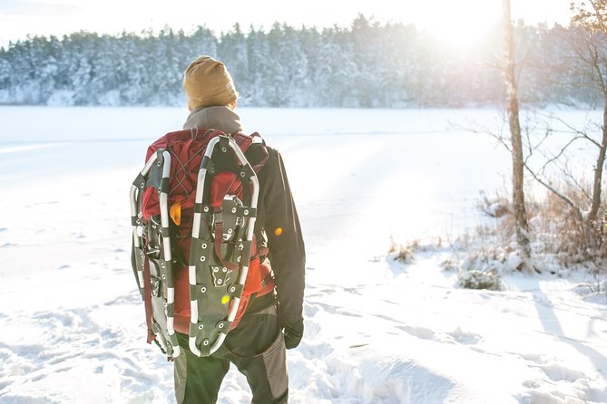 Snowshoe Winter Hike from Stockholm - Key points to know before you book