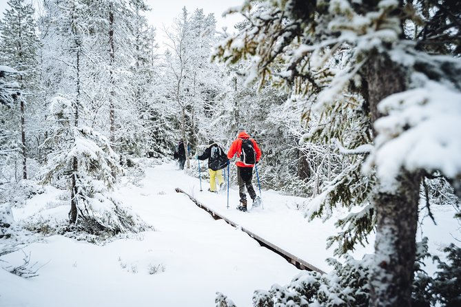 Snowshoe Winter Hike from Stockholm - Leaving Stockholm for a real winter day outdoors