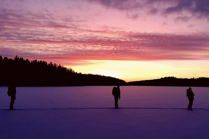 Snowshoe Winter Hike from Stockholm - A slow forest walk with wildlife and bushcraft