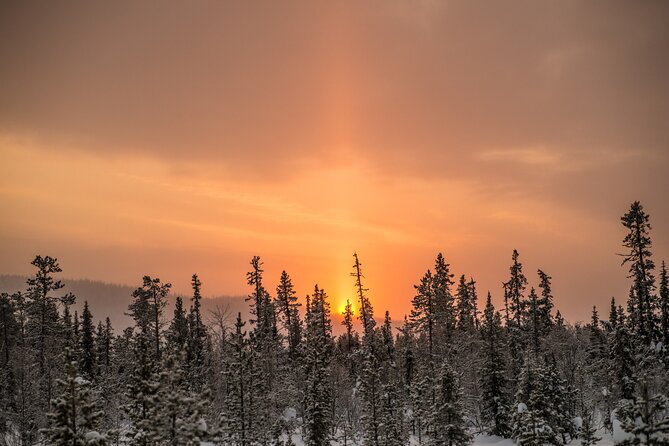 Snowshoe Winter Hike from Stockholm - Practical details that shape the day