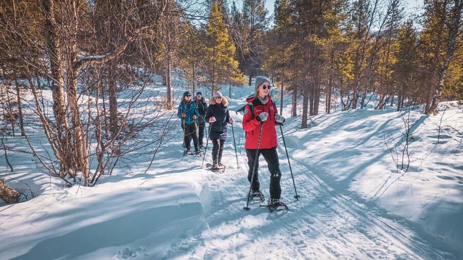 Snowshoeing Adventure to the Enchanting Frozen Waterfall - What the guide adds beyond route finding