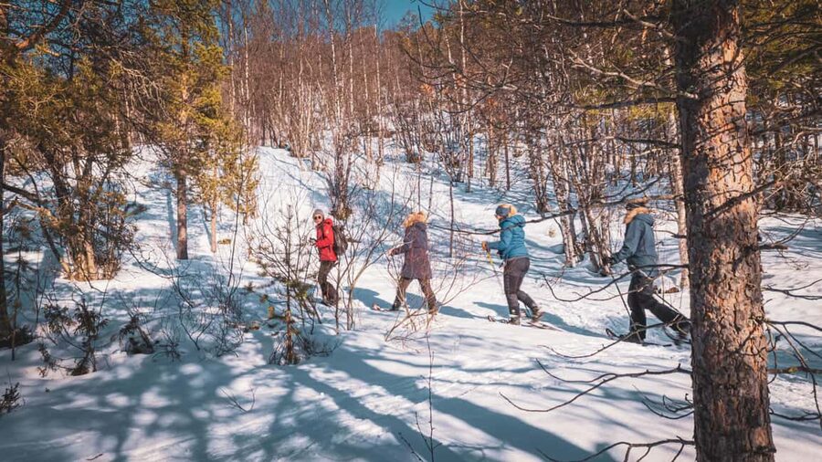 Snowshoeing Adventure to the Enchanting Frozen Waterfall - Practical details before you go