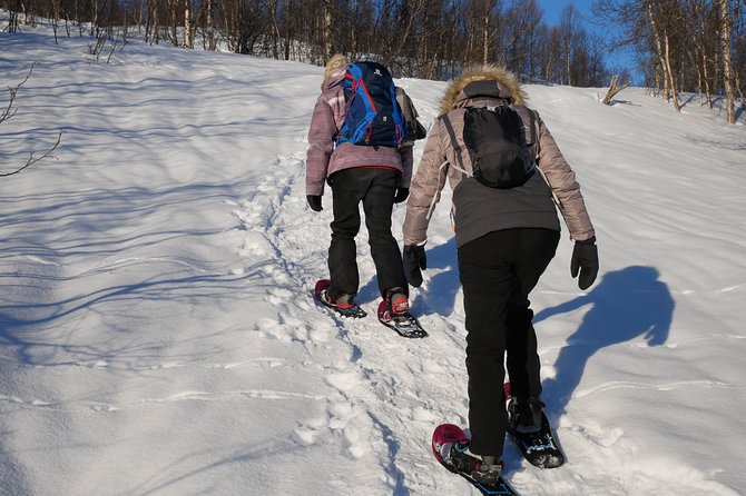 Snowshoeing With A View - Who should book, and who should think twice