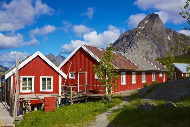 Special Summer Cruise Bus Tour of Lofoten - Skagsanden Beach and Lofoten’s open coast