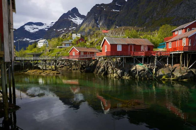 Special Summer Cruise Guided Tour of Lofoten - Key points at a glance