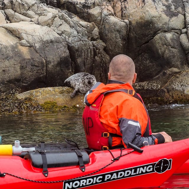 Stavanger: Lysefjord Kayak Safari (Waterfalls & Pulpit Rock) - Weather, clothing, and physical demands
