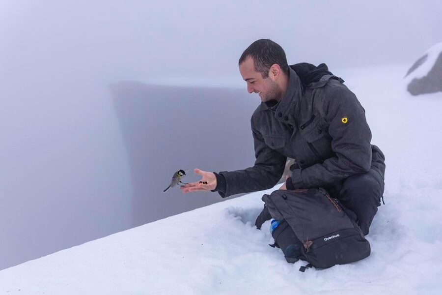Stavanger: Preikestolen Winter Hike + Hot Lunch - Key points to know before booking