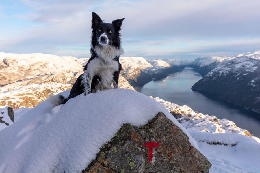 Stavanger: Preikestolen Winter Hike + Hot Lunch - Pickup in Stavanger and the drive to the trailhead