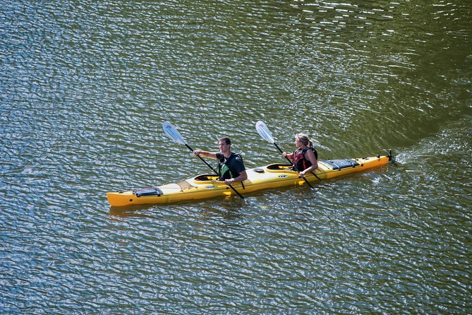 Stockholm City Evening Kayak Tour - What the $169.01 price buys you