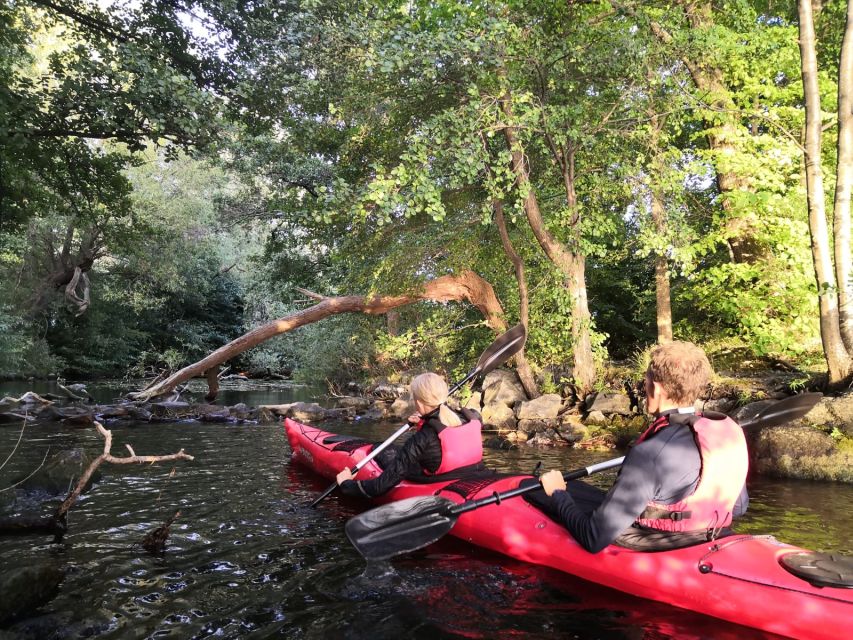 Stockholm Evening Kayak with BBQ. - Who will enjoy this Stockholm evening?