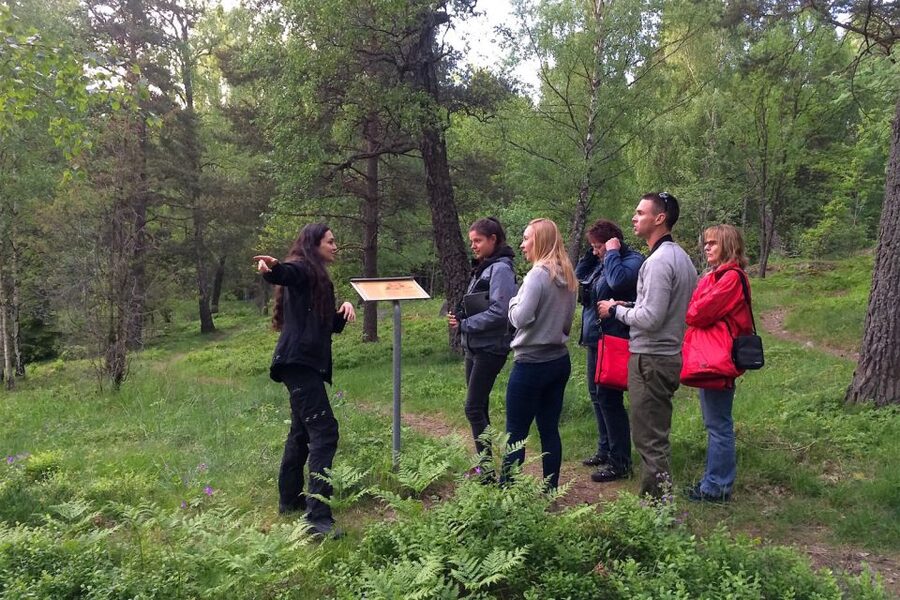 Stockholm: Evening Wildlife Safari with Midsummer Meal - Viking stones and older Swedish buildings