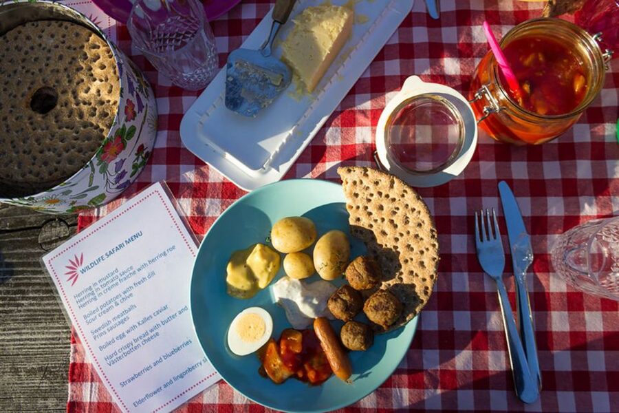 Stockholm: Evening Wildlife Safari with Midsummer Meal - Is $177 a fair price?