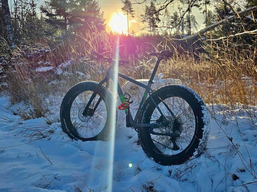 Stockholm: Fat Bike Forest Adventure with Lunch and Sauna - Why this forest ride works so well from Stockholm