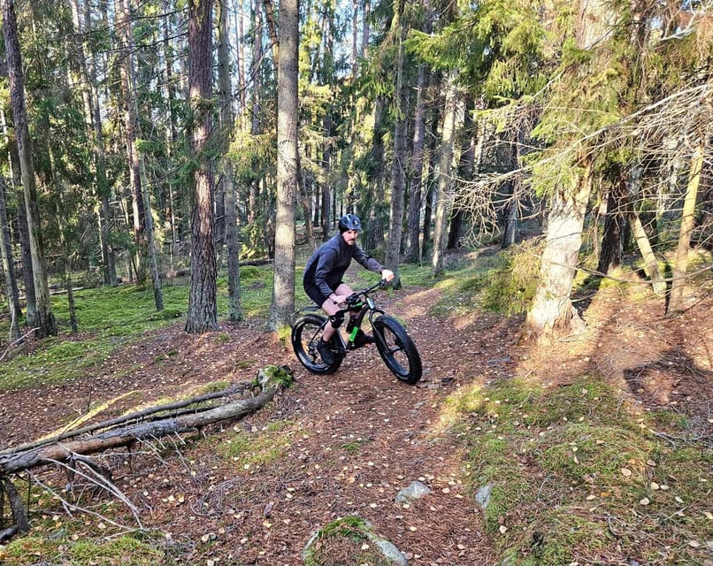 Stockholm: Fat Bike Forest Adventure with Lunch and Sauna - Two to three hours on Swedish forest trails