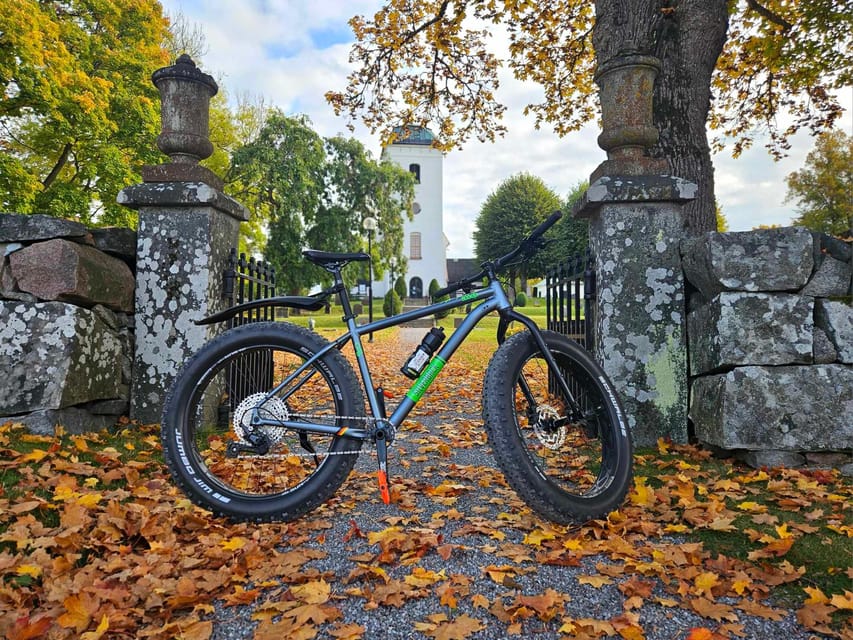 Stockholm: Fat Bike Forest Adventure with Lunch and Sauna - Is the $138 price fair?