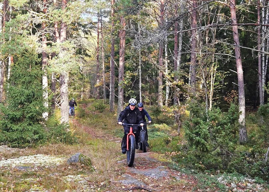 Stockholm: Fat Bike Forest Adventure with Lunch and Sauna - Who should book this adventure?