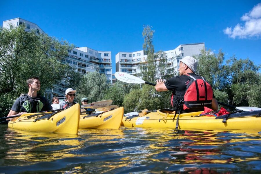 Stockholm: Guided Kayak City Tour & Optional Midsummer Meal - Price, timing, and practical value