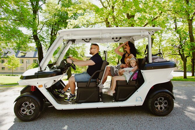 Stockholm Highlights: Private Golf Cart Tour - Fjällgatan and the higher side of Stockholm