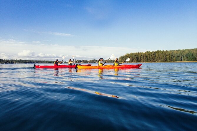 Stockholm: Kayaking tour around Vaxholm Archipelago with Fika - From the launch point to the open archipelago
