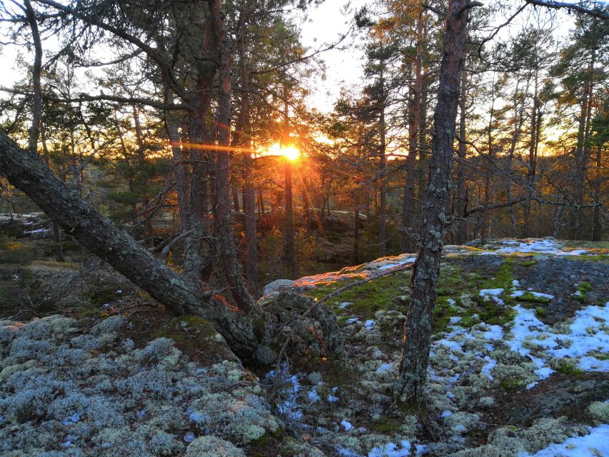 Stockholm: Nature Hike with Campfire Lunch - Booking advice and cancellation flexibility