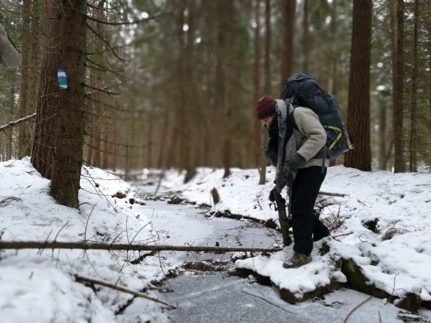 Stockholm: Nature Hike with Campfire Lunch - A brisk walk through snow and trees